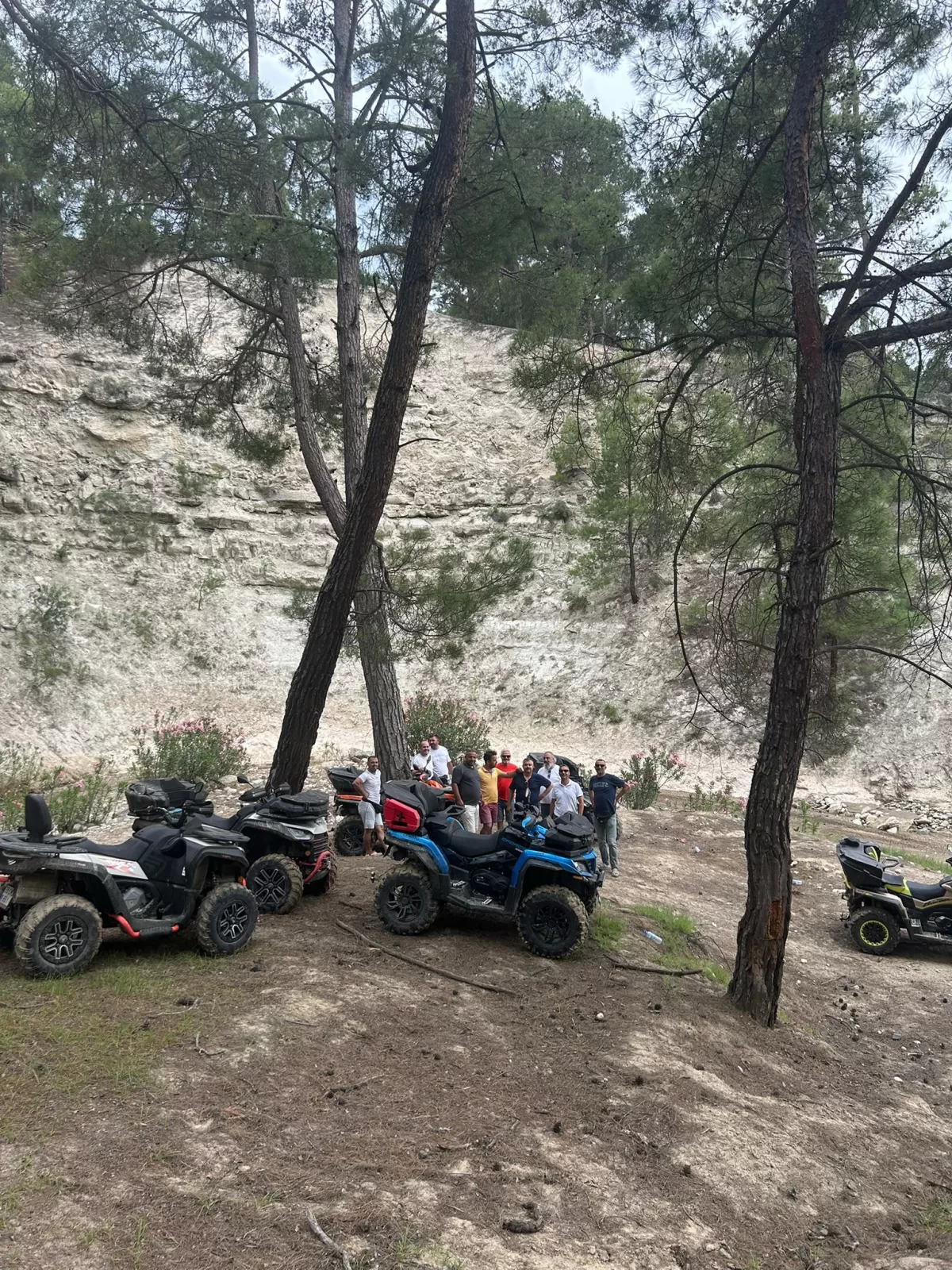 Resim